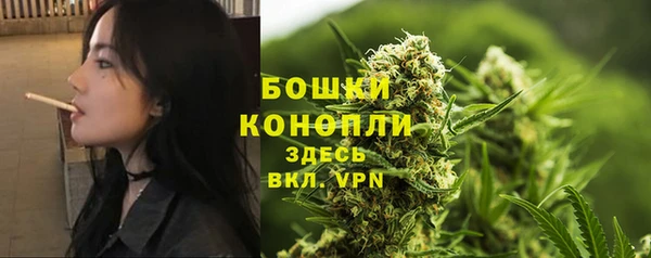 индика Елизово