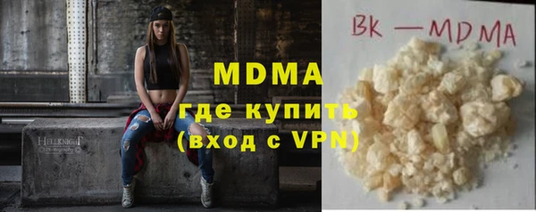 индика Елизово