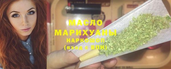 индика Елизово