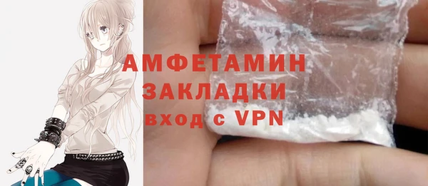 индика Елизово