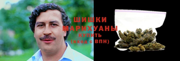 индика Елизово