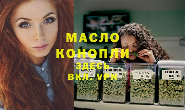индика Елизово