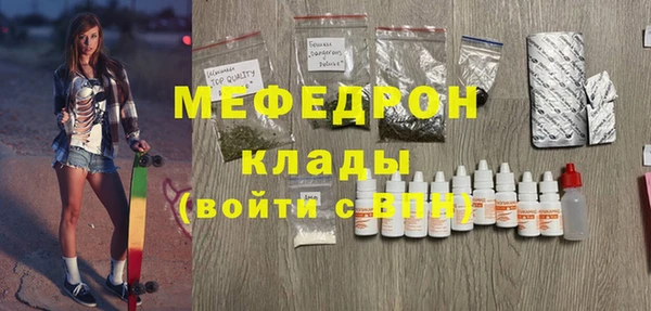 индика Елизово