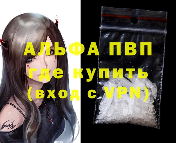 молекула духа Елабуга