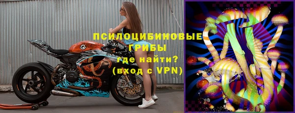 индика Елизово