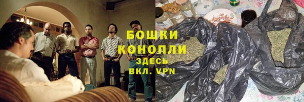 индика Елизово