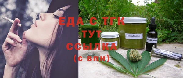 индика Елизово
