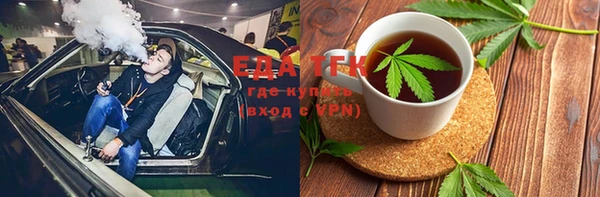 индика Елизово