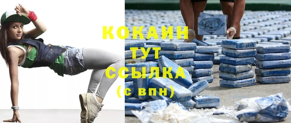 прущая мука Ельня