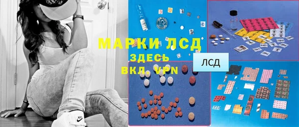 прущая мука Ельня