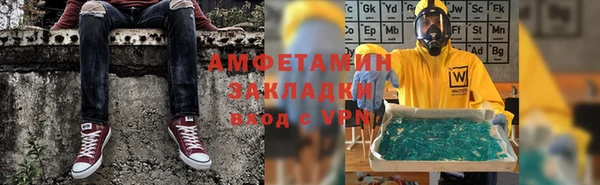 индика Елизово