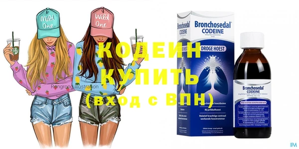 индика Елизово