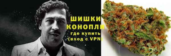 прущая мука Ельня