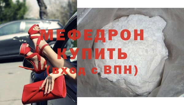 индика Елизово