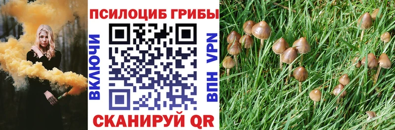 Галлюциногенные грибы прущие грибы  Чекалин 